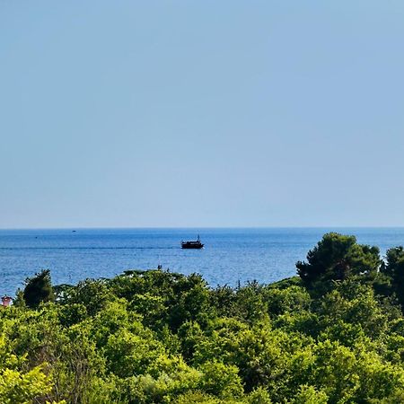 Apartman Del Mar Apartman Poreč Kültér fotó